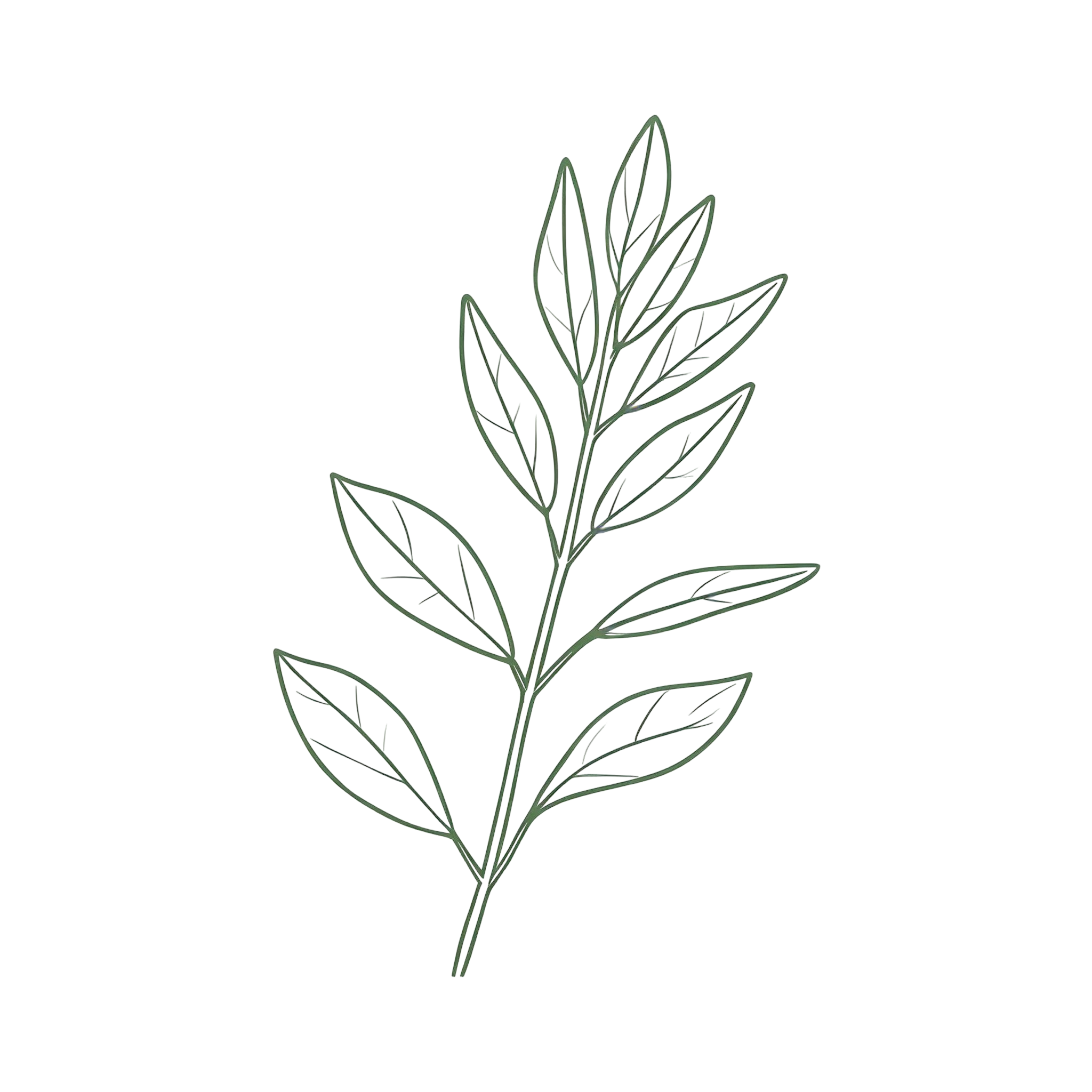 Leaf