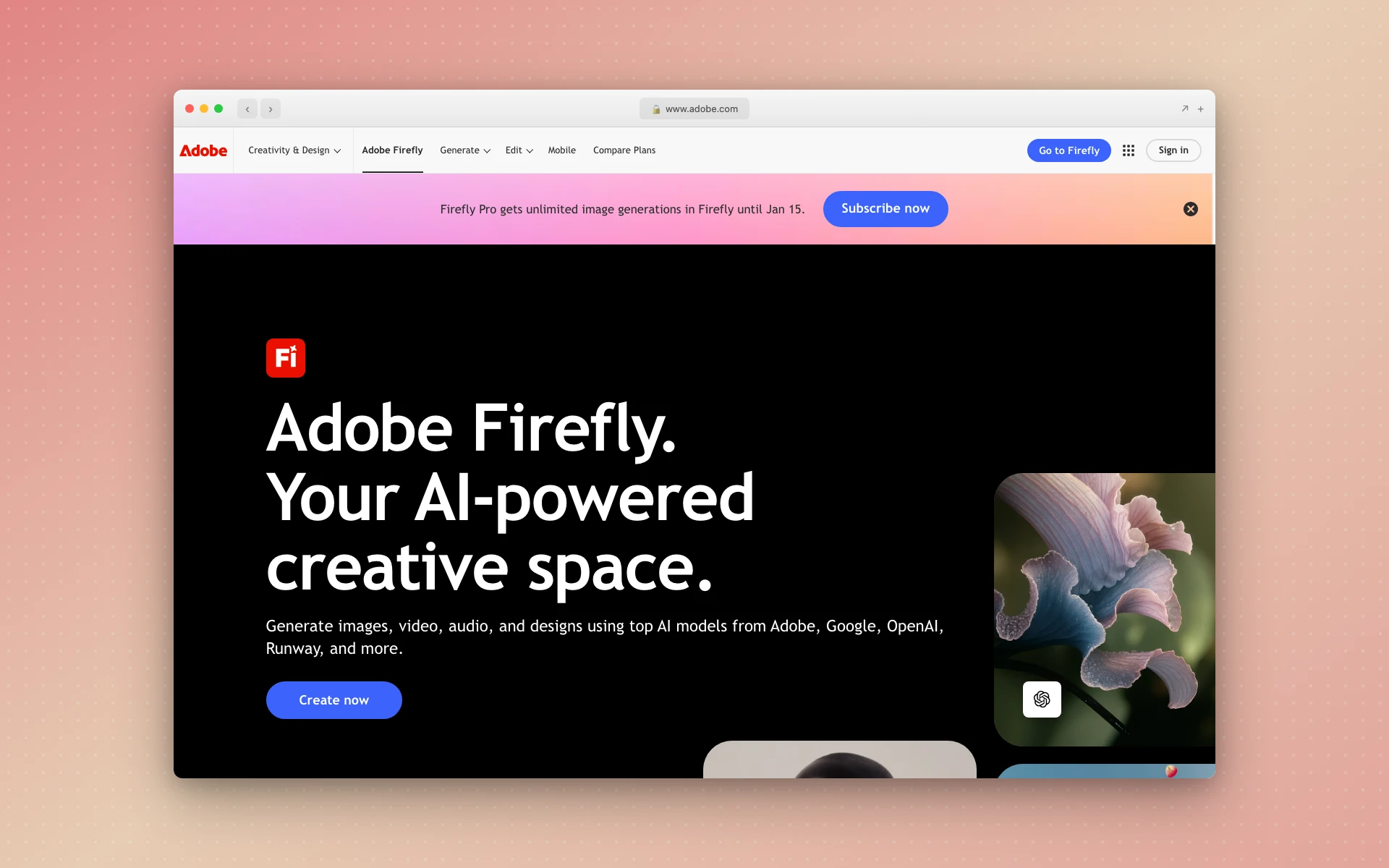 Adobe Firefly generative AI interface