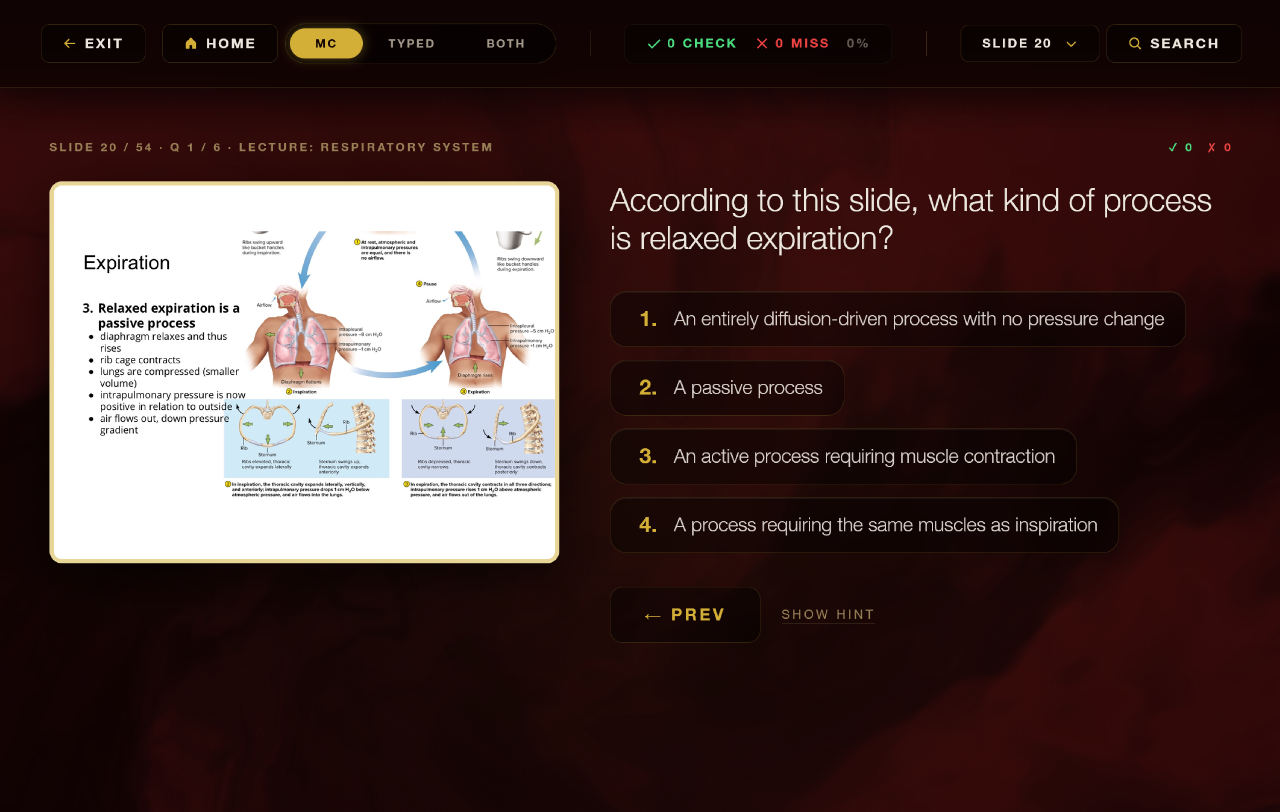 Guided Lecture Interface