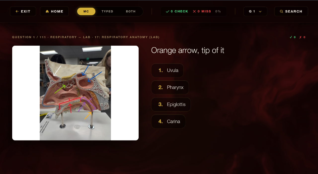 Lab Images Interface