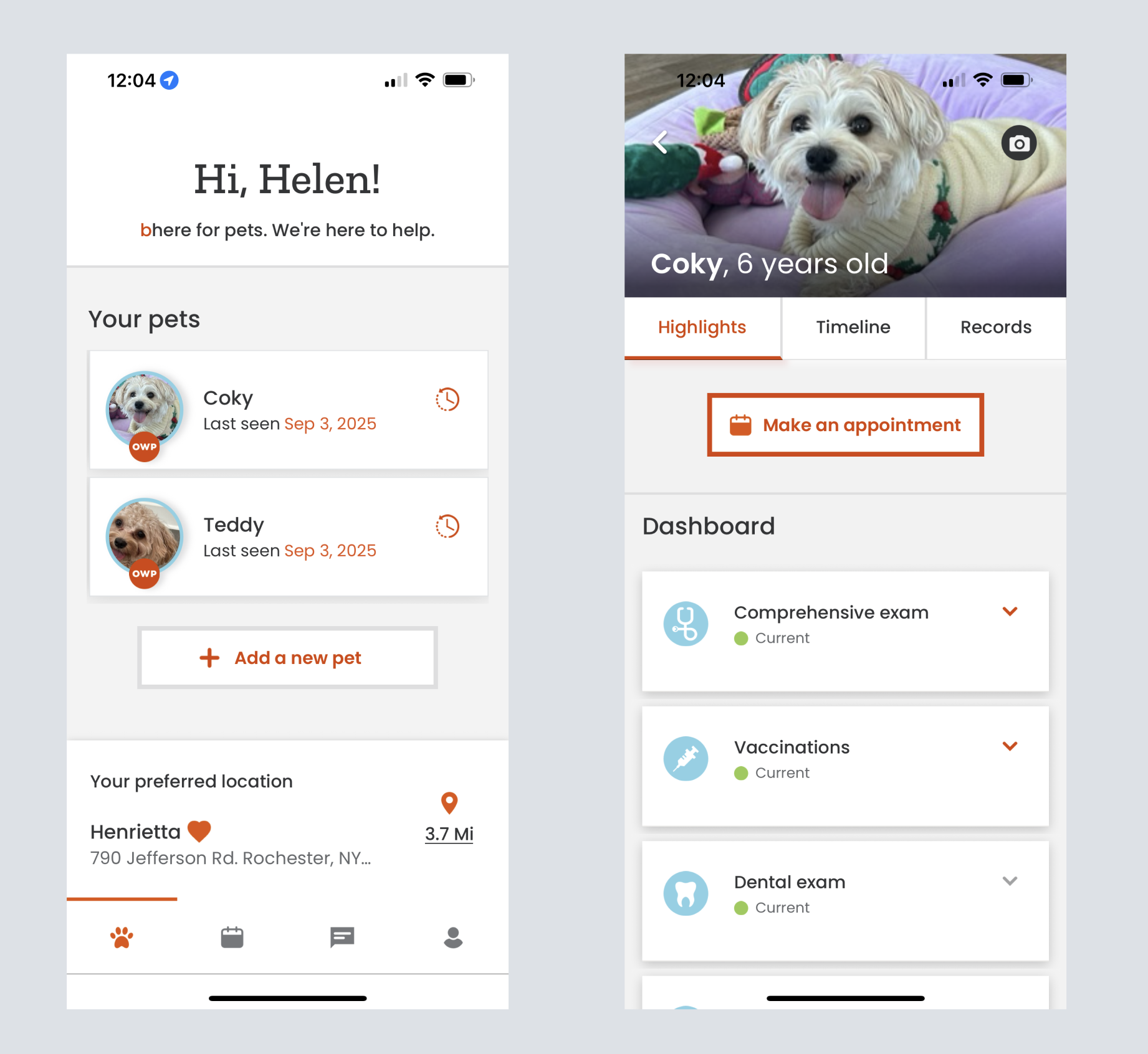 Primary Interface View